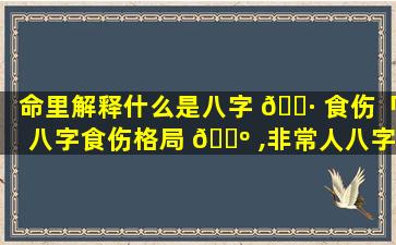 命里解释什么是八字 🌷 食伤「八字食伤格局 🌺 ,非常人八字」